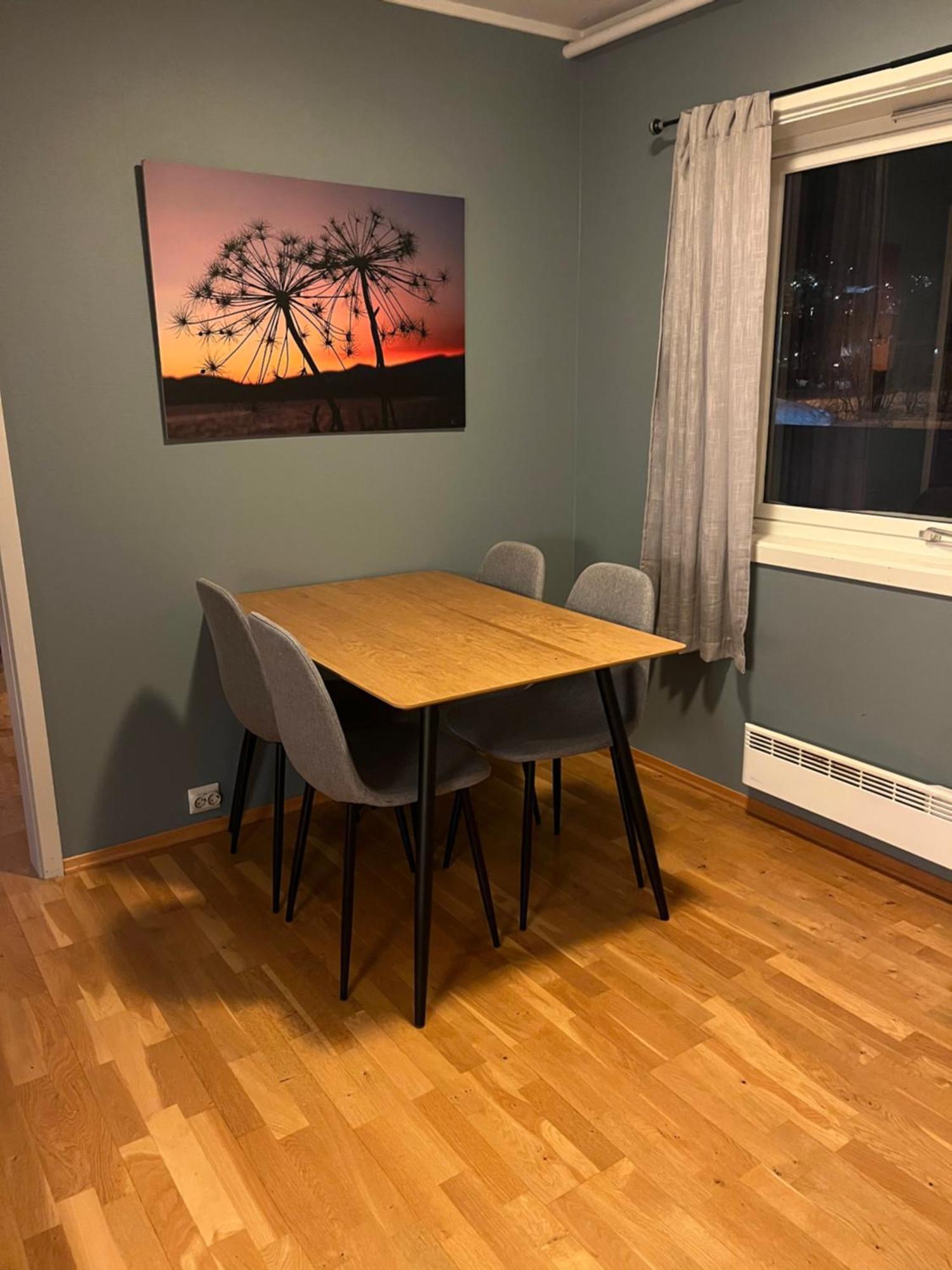 Apartmán Fantastisk Utsikt! Gratis Parkering Tromsø Exteriér fotografie
